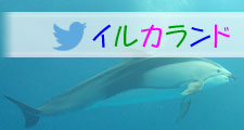 イルカランドtwitter