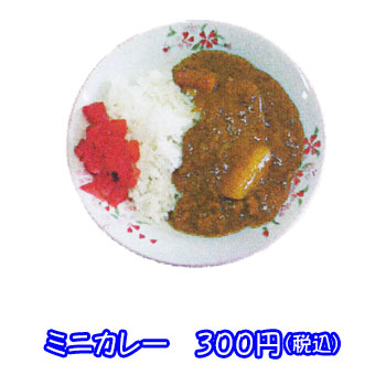 ミニカレー