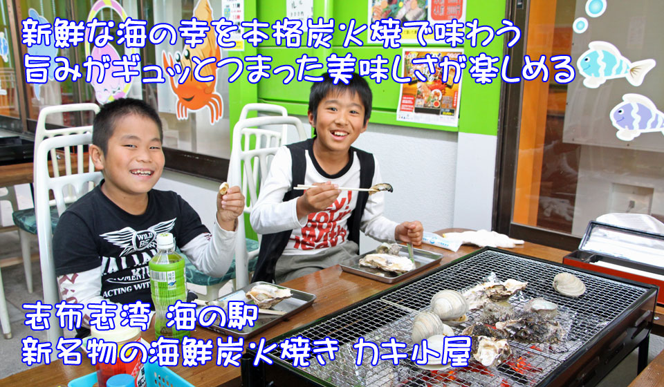 ランド 宮崎 イルカ
